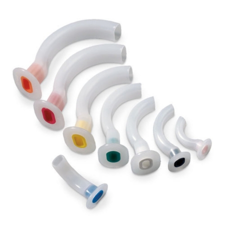 airway